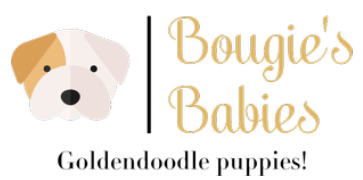Bougies Babies